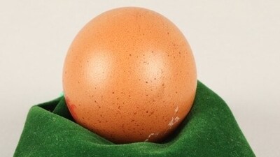 A spherical egg has fetched over ₹20,000 at a charity auction in the UK (Thomson Roddick Callan) A spherical egg has fetched over ₹20,000 at a charity auction in the UK (Thomson Roddick Callan)