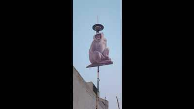 A langur cutout at Naini railway station of Prayagraj (HT Photo)