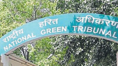 NGT imposes ₹1.30 lakh fine on CPCB, MPCB, district collector of Solapur, and Pune Cantonment Board for not submitting their responses on time. (HT) NGT imposes ₹1.30 lakh fine on CPCB, MPCB, district collector of Solapur, and Pune Cantonment Board for not submitting their responses on time. (HT)
