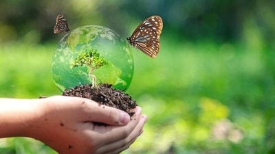 The Green Concept works in applied ecology, carbon assessments and ecosystem restoration (Shutterstock) The Green Concept works in applied ecology, carbon assessments and ecosystem restoration (Shutterstock)