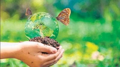 The IPBES report said that biodiversity is fast declining at a rate of 2-6% per decade. (Representational image) The IPBES report said that biodiversity is fast declining at a rate of 2-6% per decade. (Representational image)