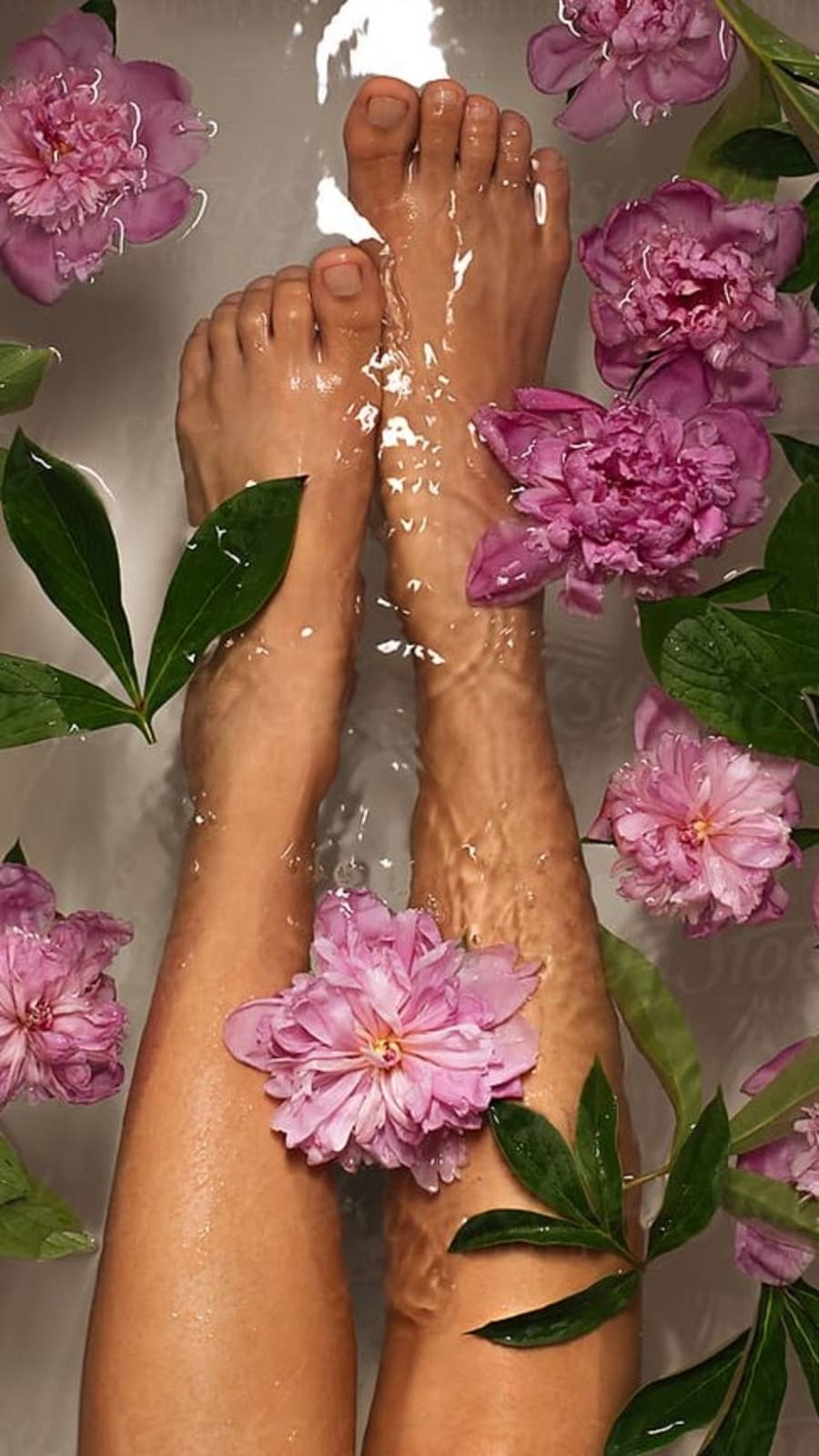 feet7349
