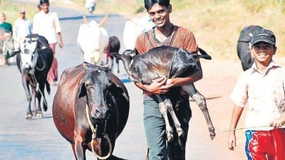 A Konkan village empties out every 4 years to rejuvenate it A Konkan village empties out every 4 years to rejuvenate it
