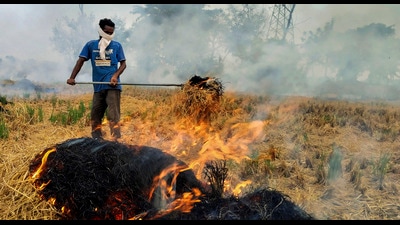 A farmer burns straw stubble after harvest, at a field on the outskirts of Amritsar on Thursday. (PTI) A farmer burns straw stubble after harvest, at a field on the outskirts of Amritsar on Thursday. (PTI)