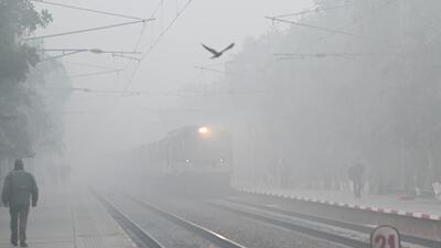 IMD Chandigarh said the region will likely experience dry weather with moderate to dense fog on December 19. The maximum temperature is expected to range between 22-24°C, while the minimum could drop to around 5°C. (Hindustan Times)