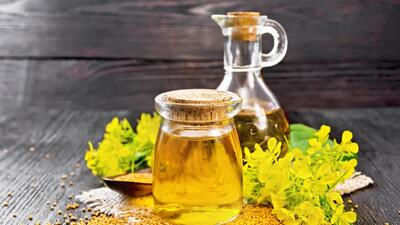 Some Europeans in Poona took a liking for mustard greens, thanks to the Chinese prisoners in the city. (Shutterstock (PIC FOR REPRESENTATION)) Some Europeans in Poona took a liking for mustard greens, thanks to the Chinese prisoners in the city. (Shutterstock (PIC FOR REPRESENTATION))
