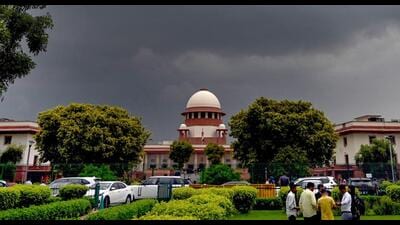 The court was hearing an application that highlighted that over 60,000 trees were chopped in Delhi between 2015 and 2021. (HT PHOTO) The court was hearing an application that highlighted that over 60,000 trees were chopped in Delhi between 2015 and 2021. (HT PHOTO)