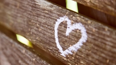 Daily Love and Relationship Horoscope 2024: Find out love predictions for December 19. (Unsplash) Daily Love and Relationship Horoscope 2024: Find out love predictions for December 19. (Unsplash)