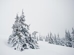 Christmas 2024: Check out the best places to celebrate white Christmas in India. (Freepik)