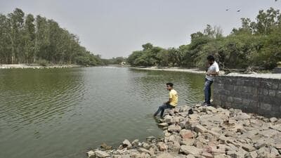 According to NGT, there are 1,367 identified water bodies in Delhi. (HT ARCHIVE) According to NGT, there are 1,367 identified water bodies in Delhi. (HT ARCHIVE)