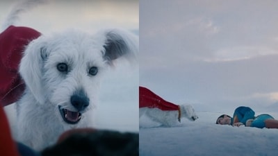 Superman teaser trailer reactions: Krypto seems to have captured the hearts of the audience with his short cameo. Superman teaser trailer reactions: Krypto seems to have captured the hearts of the audience with his short cameo.