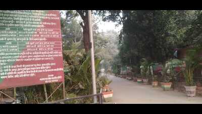 The Madan Mohan Malaviya Park in Prayagraj (HT Photo) The Madan Mohan Malaviya Park in Prayagraj (HT Photo)