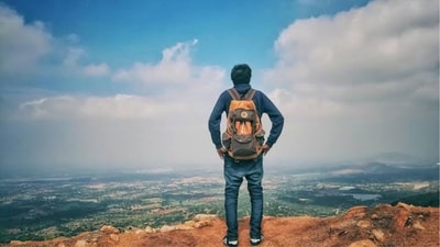 A Reddit user criticised India and it's state of heritage sites, pointing out neglect and vandalism. (Representational Image/Pexel)