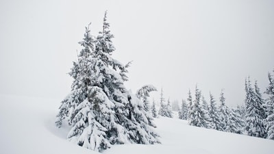 Christmas 2024: Check out the best places to celebrate white Christmas in India. (Freepik) Christmas 2024: Check out the best places to celebrate white Christmas in India. (Freepik)