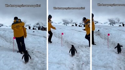 The video was shot at Antarctic Peninsula (Instagram/@cieraybarra) The video was shot at Antarctic Peninsula (Instagram/@cieraybarra)
