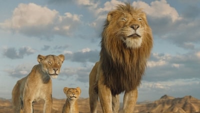 Mufasa The Lion King Hindi movie review: Shah Rukh Khan voices the titular character. Mufasa The Lion King Hindi movie review: Shah Rukh Khan voices the titular character.