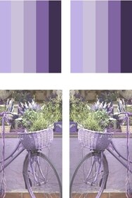 ‘Light Purple’, a soft yet sophisticated shade, evokes calmness and serenity. (HT Photo) ‘Light Purple’, a soft yet sophisticated shade, evokes calmness and serenity. (HT Photo)