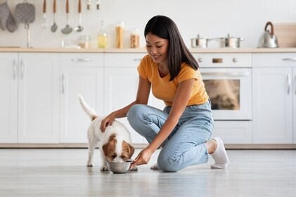 Tailored diet helps to target health conditions specially. (Shutterstock) Tailored diet helps to target health conditions specially. (Shutterstock)