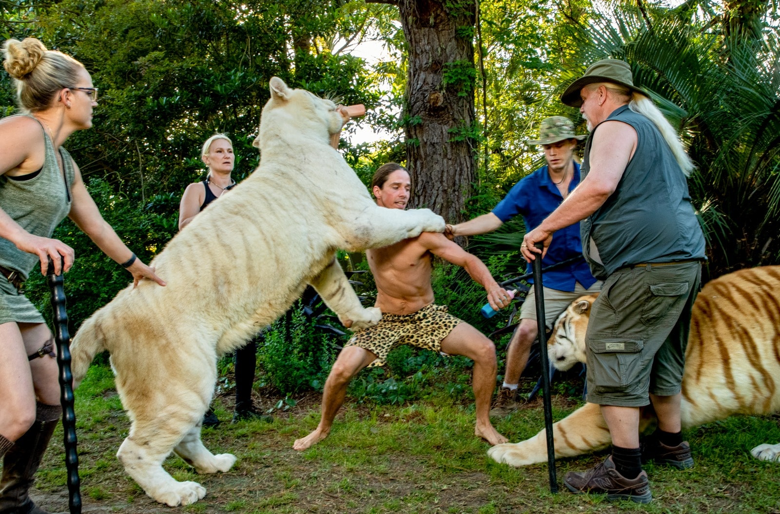 (Photo: Steve Winter / Big Cat Voices)