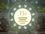 Capricorn Career Horoscope for 2025: Patience and strategy are the twin pillars of your success this year.