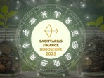 Sagittarius Career Horoscope for 2025: Focus on partnerships and patience for long-term success.