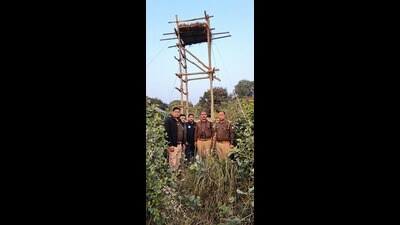 A team of forest officials stand next to a watch tower in Rehmankheda. (Sourced) A team of forest officials stand next to a watch tower in Rehmankheda. (Sourced)