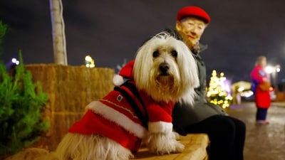 A dog dressed in a Santa Claus costume sits on a bench at the Christmas market of the Place de la Concorde in Paris, France, December 18, 2024.&nbsp; (REUTERS)