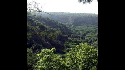 The latest biennial State of Forest report by the Forest Survey of India, delayed by more than a year, showed that while India’s green cover has grown to encompass 25.17% of its geographical area, almost all the growth (149.13 sq km out of 156.41 sq km) has occurred outside natural forests through plantations and agroforestry. (HT Archive) The latest biennial State of Forest report by the Forest Survey of India, delayed by more than a year, showed that while India’s green cover has grown to encompass 25.17% of its geographical area, almost all the growth (149.13 sq km out of 156.41 sq km) has occurred outside natural forests through plantations and agroforestry. (HT Archive)