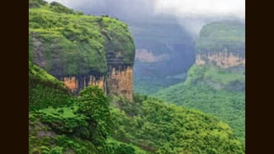 The reports provided a detailed information about the forest cover in Western Ghats Eco-Sensitive Area (WGESA), a UNESCO World Heritage Site. (HT PHOTO) The reports provided a detailed information about the forest cover in Western Ghats Eco-Sensitive Area (WGESA), a UNESCO World Heritage Site. (HT PHOTO)