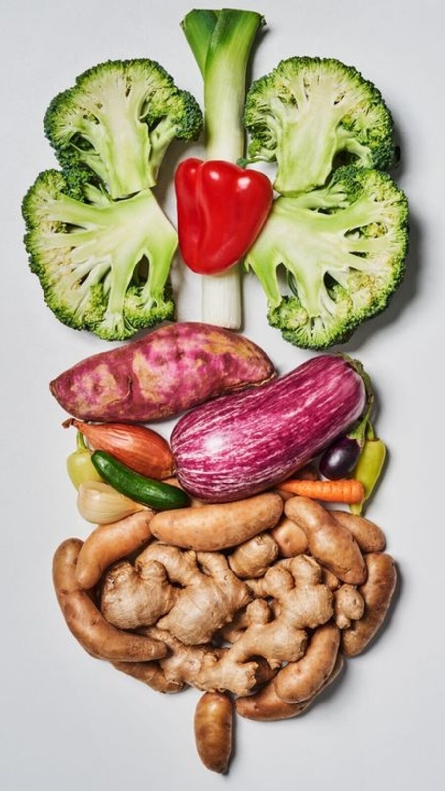 Best_Foods_to_Eat_for_Gut_Health