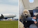 The Delta Air Lines passenger was upgraded to first class but later asked to vacate his seat for a service dog. The Delta Air Lines passenger was upgraded to first class but later asked to vacate his seat for a service dog.