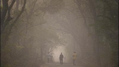 A thick layer of smog envelops Aarey Colony on Sunday. (Satish Bate/ Hindustan Times) A thick layer of smog envelops Aarey Colony on Sunday. (Satish Bate/ Hindustan Times)