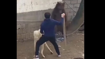 Man risked life to save his dog from a bear, sparking viral reactions with over 3M views online. (X/@AMAZlNGNATURE) Man risked life to save his dog from a bear, sparking viral reactions with over 3M views online. (X/@AMAZlNGNATURE)