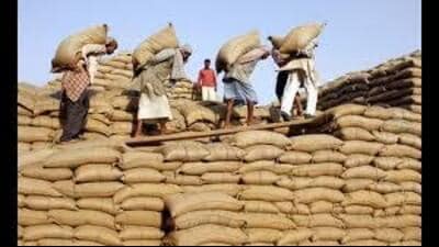 The notification said, this was in addition to the crops that were already being procured, including paddy, bajra, kharif moong, urd, arhar, wheat and mustard. (HT File) The notification said, this was in addition to the crops that were already being procured, including paddy, bajra, kharif moong, urd, arhar, wheat and mustard. (HT File)