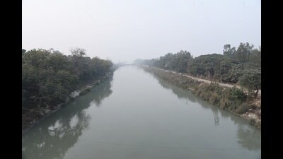 The report released on Saturday states that Chhattisgarh witnessed a maximum increase in combined forest and tree cover with 684 sq km, and Uttar Pradesh stands in the second place with its 559 sq km area being under the same cover. (Sakib Ali/HT Photo) The report released on Saturday states that Chhattisgarh witnessed a maximum increase in combined forest and tree cover with 684 sq km, and Uttar Pradesh stands in the second place with its 559 sq km area being under the same cover. (Sakib Ali/HT Photo)
