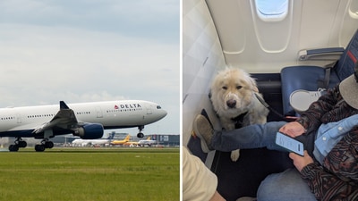 The Delta Air Lines passenger was upgraded to first class but later asked to vacate his seat for a service dog. (Reddit/ben_bob) The Delta Air Lines passenger was upgraded to first class but later asked to vacate his seat for a service dog. (Reddit/ben_bob)
