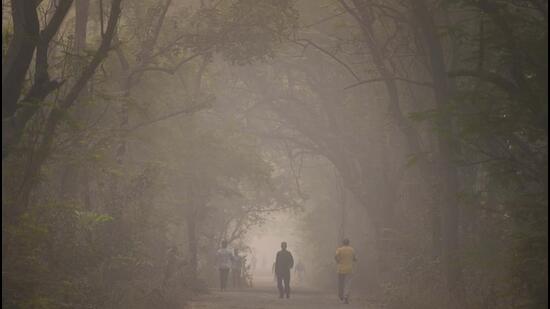A thick layer of smog envelops Aarey Colony on Sunday. (Satish Bate/ Hindustan Times)