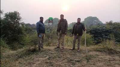 Forest staff guarding the ‘no-go zone’ in Rehmankheda. (Sourced) Forest staff guarding the ‘no-go zone’ in Rehmankheda. (Sourced)