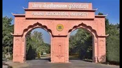 Punjab Agricultural University (HT File)