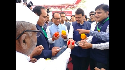 Speaking to reporters in Pune, Fadnavis described the initiative as “historic,” stating that 26 lakh people have registered for the scheme, of whom 20 lakh will be provided houses. (HT PHOTO) Speaking to reporters in Pune, Fadnavis described the initiative as “historic,” stating that 26 lakh people have registered for the scheme, of whom 20 lakh will be provided houses. (HT PHOTO)