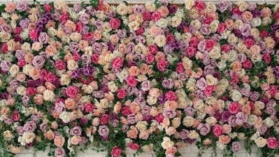 Flower walls serve all aesthetic needs. (Shutterstock) Flower walls serve all aesthetic needs. (Shutterstock)