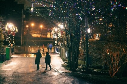 Go for a walk and watch the Christmas decorations. (Pexels) Go for a walk and watch the Christmas decorations. (Pexels)