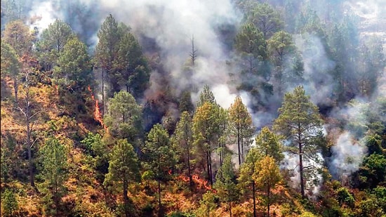 The top three states with the most fire incidents in the 2023-24 season were Uttarakhand, Odisha, and Chhattisgarh. (HT PHOTO)