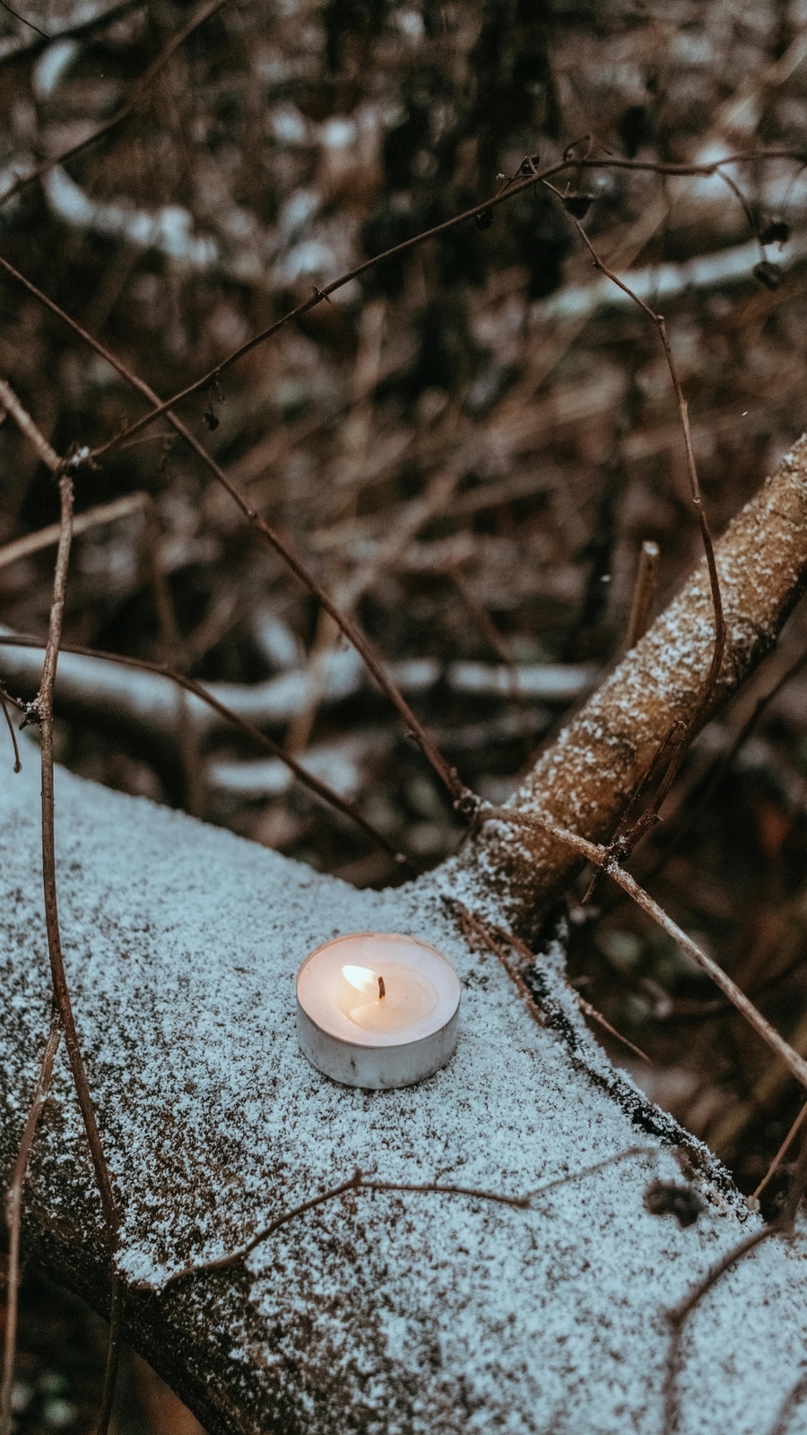winter