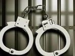 Representative image: Gene Spector was sentenced to "15 years to be served in a strict-regime penal colony" by a trial court Representative image: Gene Spector was sentenced to "15 years to be served in a strict-regime penal colony" by a trial court