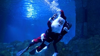 In Chennai, as part of Christmas celebrations, a diver in a Santa Claus costume swam in the VGP Marine Kingdom as well. (Reuters)