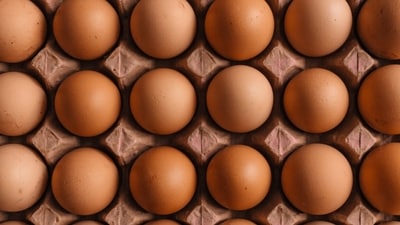 Eggs are being recalled in the US over salmonella risk (Representational Image) Eggs are being recalled in the US over salmonella risk (Representational Image)