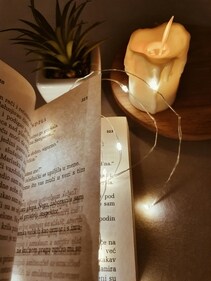 Dive into your favourite book. (Pexels) Dive into your favourite book. (Pexels)