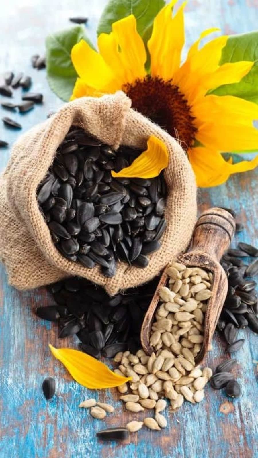 sunflowerseeds714