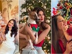 Christmas 2024: Check out how Bollywood celebs are celebrating the festive season.(Instagram)